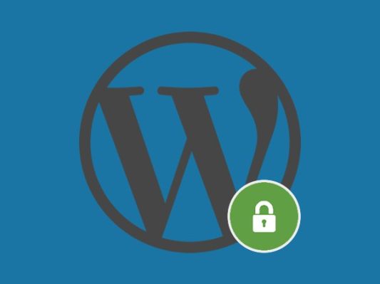 seguridad-wordpress